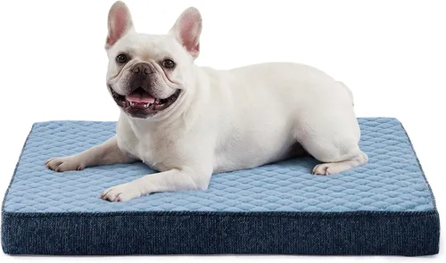 Vista 11 de JOEJOY Cama ortopédica para perros extra grandes