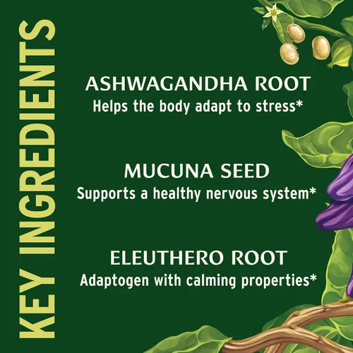 Vista 4 de Banyan Botanicals Nutrición suprarrenal orgánica - Suplemento de apoyo de cortisol y alivio del estrés - Apoyo de energía natural y fatiga
