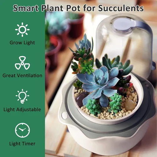 Vista 10 de Smart Venus - Maceta de terrario con temporizador y ventilador, kit de terrario para plantas con luz de crecimiento para carnívoros, Butterwort