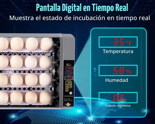 Vista 2 de Gpeng Incubadora de huevos, incubadora de 24 huevos con pantalla digital, giro automático de huevos, control automático de temperatura, para incubar