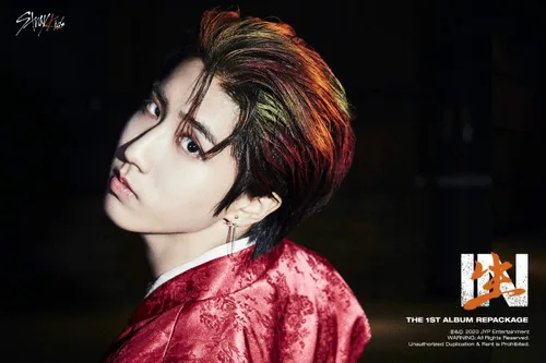Vista 7 de Stray Kids en la vida 1er álbum Reembalaje Normal B Ver 72p PhotoBook+2p PhotoCard+1p Postal+Seguimiento Kpop sellado