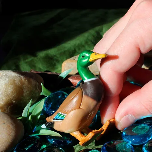 Vista 2 de Safari Ltd. Figura de pato real pintada a mano, realista de 3 pulgadas, juguete educativo divertido para niños, niñas y niños a partir de 3 años