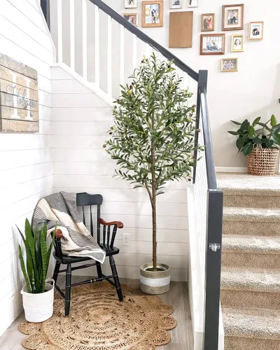 Vista 6 de Árbol de olivo artificial de 5.5 pies de planta decorativa
