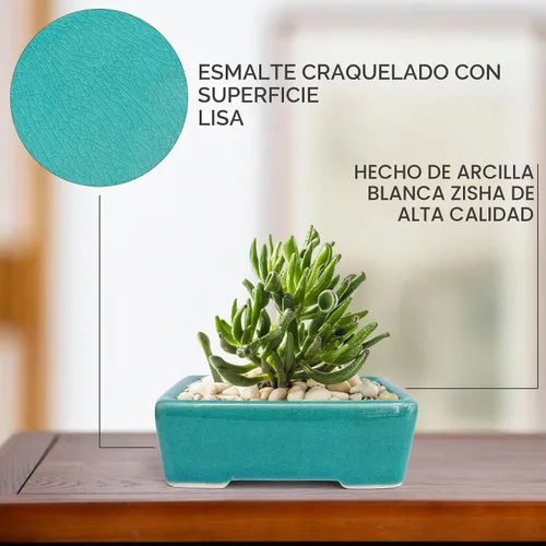 Vista 2 de Zisha - Juego de 2 macetas de arcilla blanca para bonsái esmaltadas poco profundas, color azul