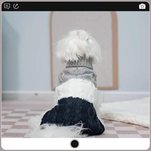 Vista 6 de EXPAWLORER Suéter para perro con agujero para correa, suéteres de otoño para perros pequeños para niñas y niños, ropa clásica de punto de cuello