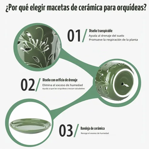 Vista 4 de EFISPSS Macetas de orquídeas con agujeros, macetas de orquídeas de 7 pulgadas con agujeros de drenaje y bandeja, maceta grande
