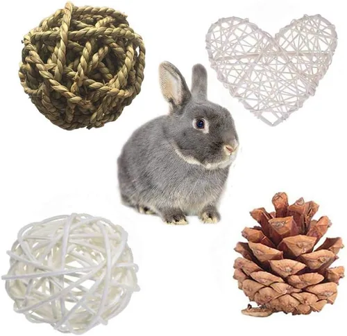 Vista 3 de ANDES Juguetes masticables de conejo, juguetes masticables de dientes de conejo para mascotas, juguetes orgánicos naturales de madera de manzana