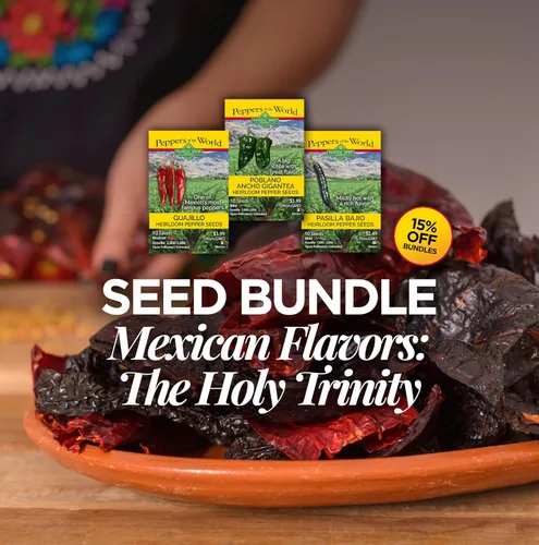 Vista 5 de Sabores Mexicanos/Santísima Trinidad Paquete de 3 - Semillas de Guajillo, Pasilla y Poblano