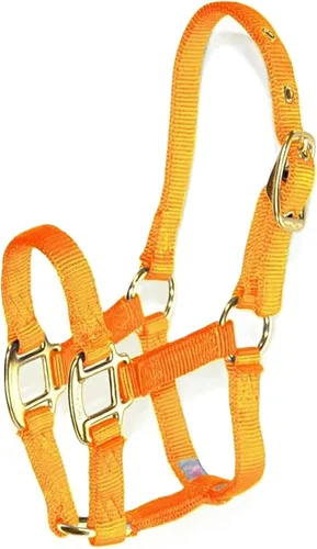 Vista 17 de Hamilton Deluxe - Caballo ajustable, 100-200 libras, color negro Premium Quality 3/4" Triple Ply Nylon, Foal/Mini Horse, Adjustable Chin Strap