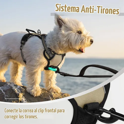 Vista 5 de Rabbitgoo - Arnés para perros sin tirón con 2 clips de correa, chaleco Oxford reflectante acolchado suave ajustable sin estrangulamiento