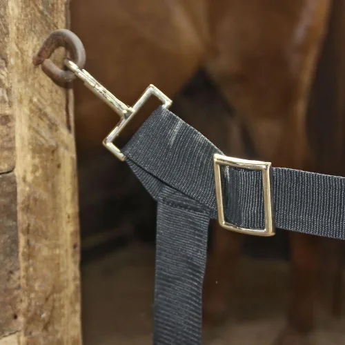 Vista 2 de Dura-Tech Cordura Stall Guard