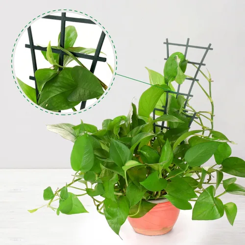 Vista 6 de Paquete de 12 mini enrejados apilables para plantas trepadoras para plantas en macetas de interior, soporte para macetas, guisantes, hoya, potos
