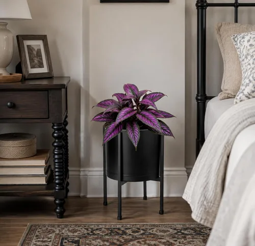 Vista 6 de D'vine Dev - Maceta de plástico con soporte de metal, color negro, 8 pulgadas, 55-D-B-1 Modern Elevated Design, Heavy-Duty Solid Iron Stand