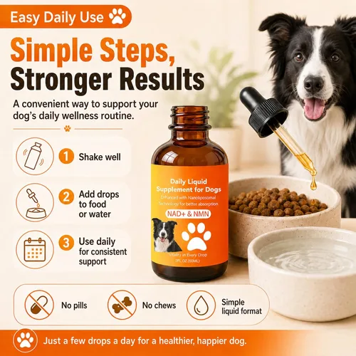 Vista 7 de Suplemento de longevidad para perros con NMN, NAD+, CoQ10 y resveratrol - Apoya la salud de las articulaciones, la vitalidad y el envejecimiento
