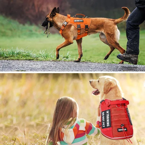 Vista 2 de WINSEE Parches reflectantes para perros de servicio para arnés de perro de servicio