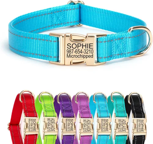 Vista 21 de Collar de perro de nailon reflectante personalizado con etiqueta de nombre Collares de perro con hebilla dorada grabados personalizados Collar