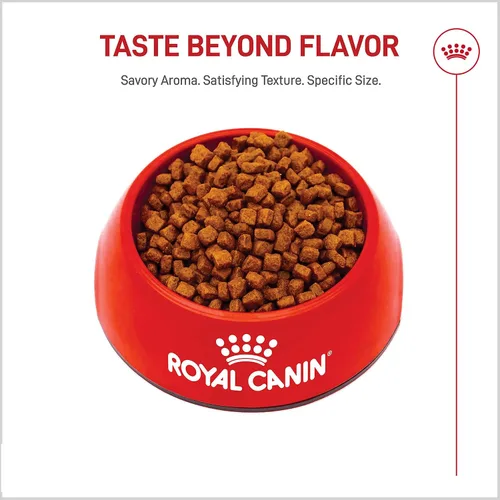 Vista 8 de Royal Canin Breed Health Nutrition Yorkshire Terrier Cachorro Alimento Seco para Perros, Bolsa de 2.5 lb
