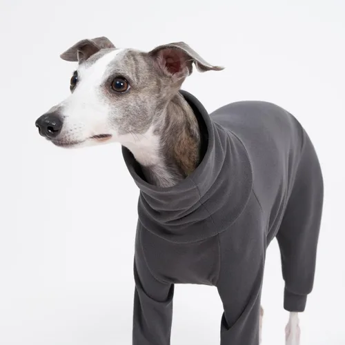 Vista 5 de Ropa interior mullida de algodón acogedora para galgos italianos, whippets, pijamas y overoles súper suaves y cálidos (S, gris)