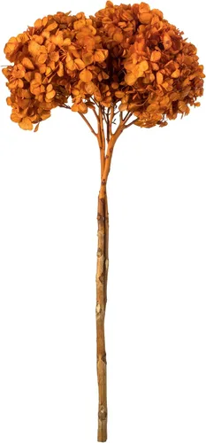 Vista 8 de Vickerman Hortensias de musgo antiguo de 15 pulgadas con múltiples segmentos de rama. Conservada