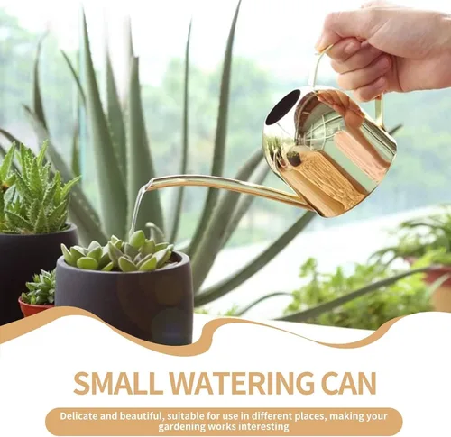 Vista 2 de Regadera para plantas de interior, regadera pequeña de 17 onzas de acero inoxidable con boquilla larga para plantas de interior y exterior (dorado)