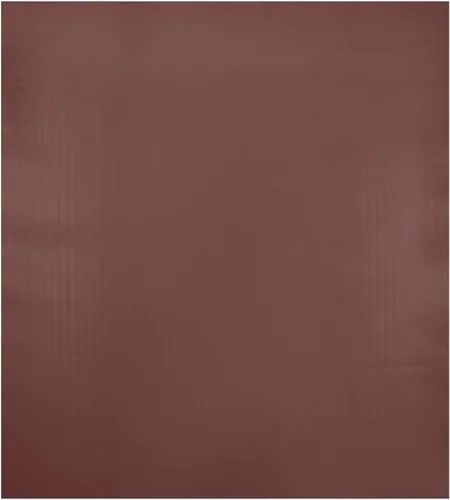 Vista 9 de Imán Magnético Beige para Lavaplatos, Adhesivo Magnético para Puerta de Lavaplatos, Panel de Puerta de Nevera, Imán Decorativo