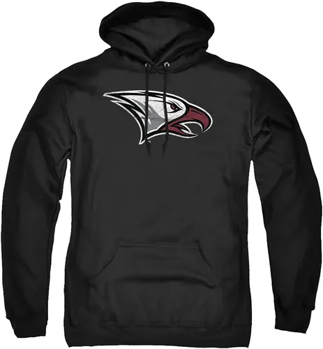 Vista 43 de Distressed College Primary Logo Adult Pullover Hoodie Collection 1 Universidad Estatal de Albany