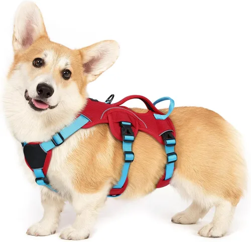 Vista 40 de rabbitgoo - Arnés para perros a prueba de fugas, arnés para mascotas acolchado y suave de cuerpo completo, arnés reflectante ajustable sin tirones