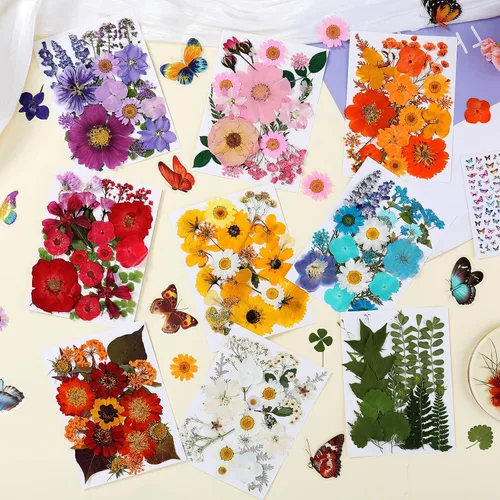 Vista 2 de 320 piezas de flores secas prensadas para manualidades de resina Multicolor 320 piezas