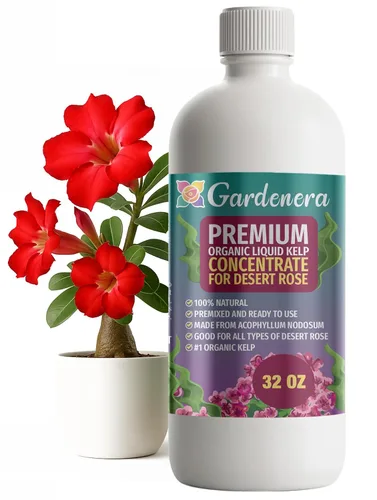 Vista 104 de GARDENERA Superalimento orgánico prémium de algas marinas y algas marinas para plantas AROID - 32 oz - Concentrado de fertilizante líquido de algas