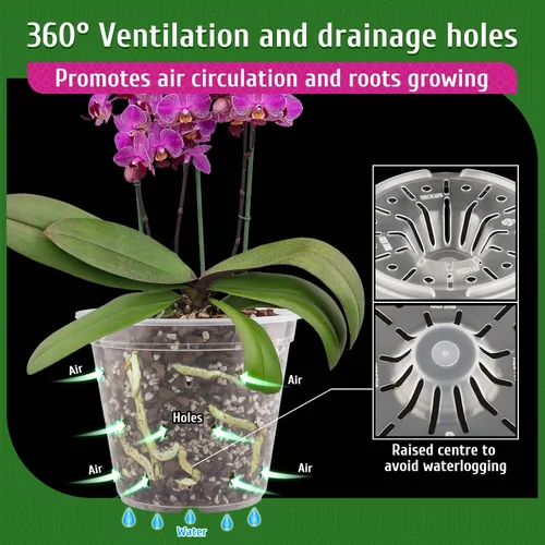 Vista 3 de Maceta para Orquídeas, Paquete de 6 Macetas para Orquídeas con Agujeros, Maceteros de Flores de Plástico Transparente de 5.5 Pulgadas