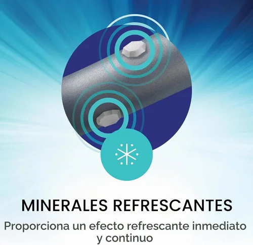 Vista 4 de Professional's Choice 2XCOOL - Botas deportivas para caballos medicinales, diseño protector y transpirable para máxima comodidad, durabilidad