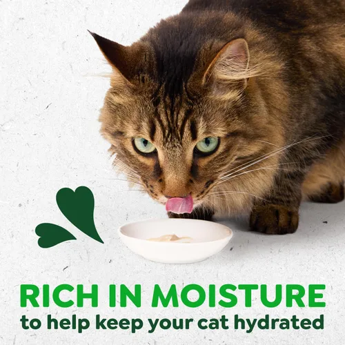 Vista 3 de Greenies Feline Smart Purees Skin & Fur Health - Golosinas lamibles para gatos con salmón real, tubos de 0.49 onzas, 20