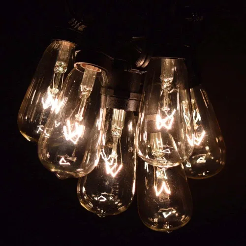 Vista 2 de Hometown Evolution, Inc. Cadena de luces Edison vintage de grado comercial para exteriores (ST40 transparente, cable negro comercial, 25 pies)