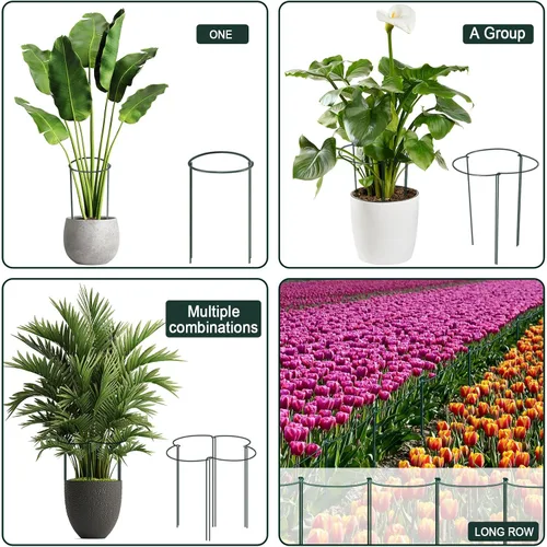 Vista 2 de Paquete de 12 estacas de soporte para plantas, jaulas y soportes de peonías de metal, jaula de peonía, anillo de soporte para plantas, soporte
