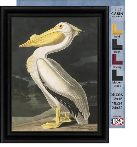 Vista 17 de Lost Cabin American Flamingo por James Audubon Impresión en marco biselado negro Reproducción de pintura de obras de arte finas Póster
