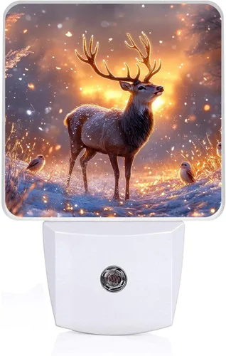 Vista 21 de Luz nocturna de conchas de playa, luces nocturnas enchufables a la pared, lámpara LED para escalera/pasillo/dormitorio, 0.5 W, luz nocturna