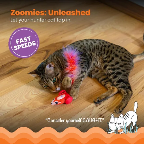 Vista 3 de Catstages Racin' Squirrel Robot, juguete electrónico para gatos en movimiento con plumas, recargable por USB, rojo