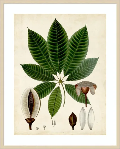 Vista 6 de Amanti Art Vision Studio - Lienzo decorativo para pared, 24 x 20 pulgadas, follaje verde VII por Vision Studio, arte de pared de naturaleza