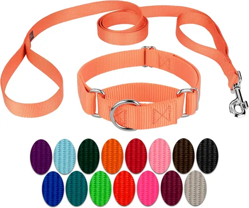 Vista 18 de Country Brook Design - Collar de perro de nailon Martingale y correa de doble asa-Negro-S