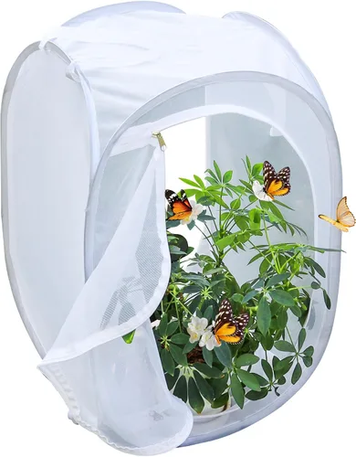 Vista 6 de Jaula desplegable para insectos y mariposas con terrario de malla transparente, 16 x 16 x 24 pulgadas