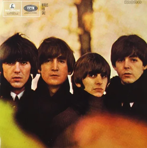 Vista 11 de The Beatles in Mono The Complete Mono Recordings