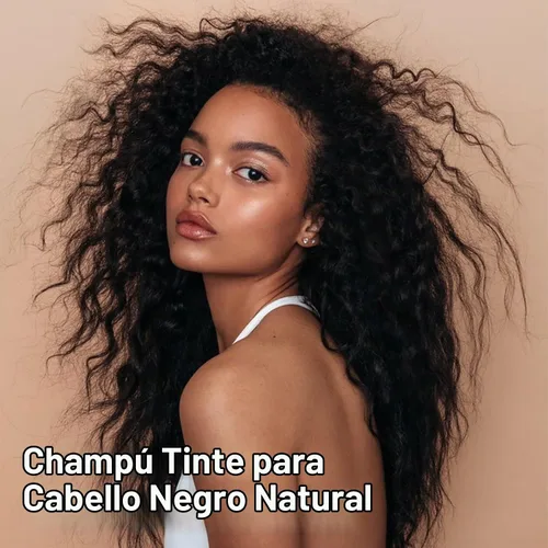 Vista 2 de Tinte para el cabello con aceite de argán negro, 16.9 onzas líquidas, champú de color semipermanente 3 en 1, fácil de usar (negro)