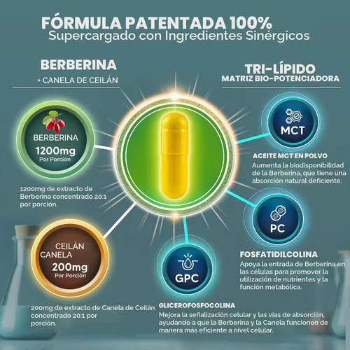Vista 3 de aSquared Nutrition Suplemento de Berberina con Canela de Ceilán - Complejo de Máxima Potencia de 1400mg - 120 Cápsulas - Extracto en Polvo HCl