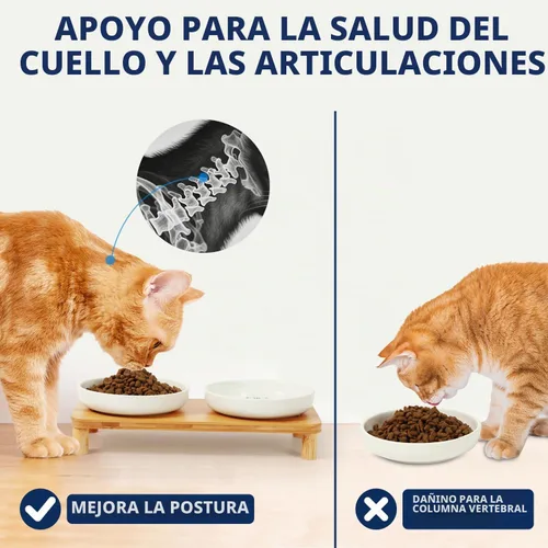 Vista 4 de DoogCat Cuencos elevados para gatos, soporte de bambú con 2 cuencos