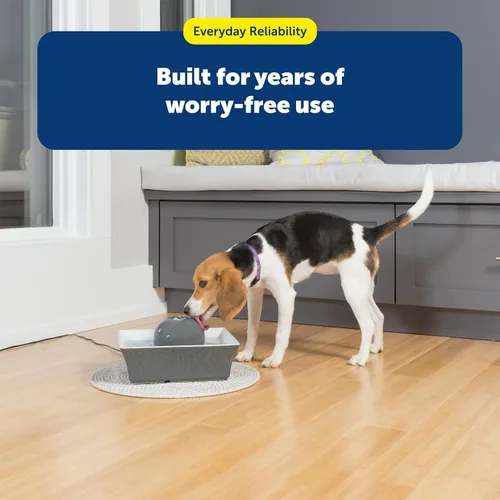 Vista 7 de PetSafe Drinkwell - Fuente de agua de cerámica para mascotas, dispensador automático silencioso de 70 onzas para gatos y perros con filtros, diseño