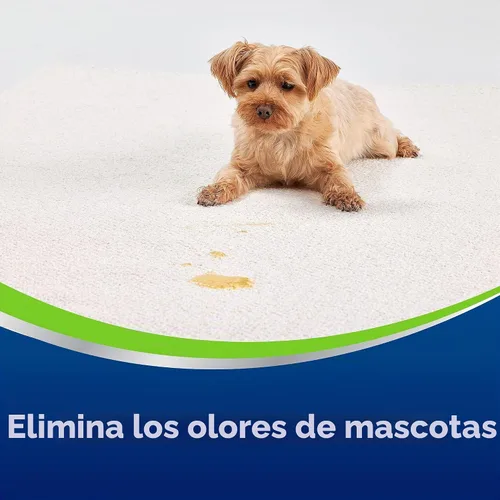 Vista 5 de Bissell Woolite® Advantage - Removedor de manchas y olores para mascotas + desinfectante, 3327