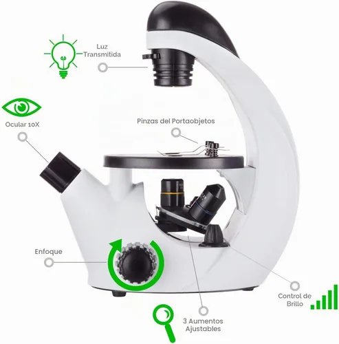 Vista 7 de Microscopio invertido AmScope IN50 iQcrew 40X-200X para niños