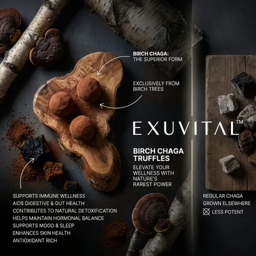 Vista 3 de Trufas de abedul Chaga, Apoyo diario al bienestar, Bocadillos de superalimentos naturales, Apoyo inmunológico, Salud de la piel, Salud intestinal