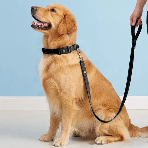 Vista 2 de FURRYFECTION Juego de collar y correa reflectante para perro con hebilla de liberación rápida, neopreno acolchado de nylon ajustable para perros