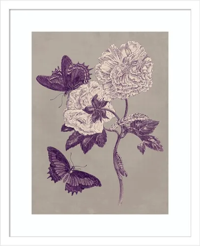 Vista 12 de Amanti Art Lienzo decorativo para pared, 24 x 20 pulgadas, estudio de la naturaleza en ciruela y gris pardo IV por Maria Merian, arte de pared